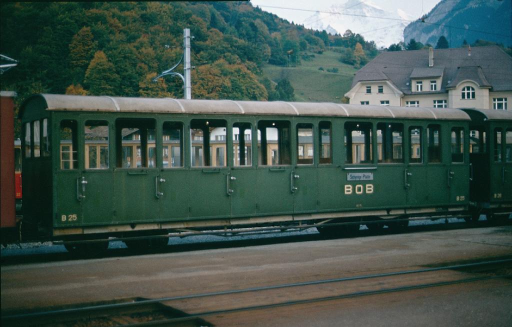 B1_eisenbahn_0043.jpg - Wengernalpbahn (WAP)