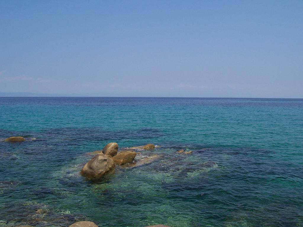 100_0698.jpg