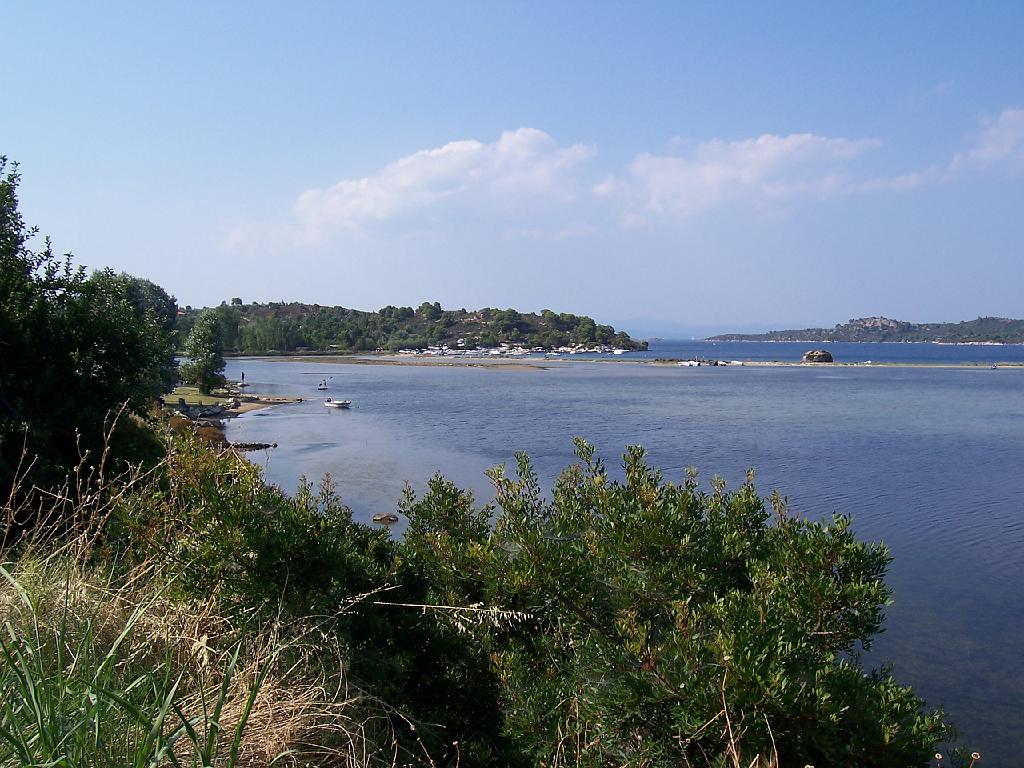 100_0711.jpg