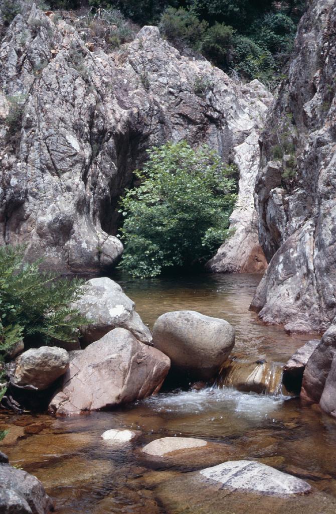 korsika_1985_044.jpg