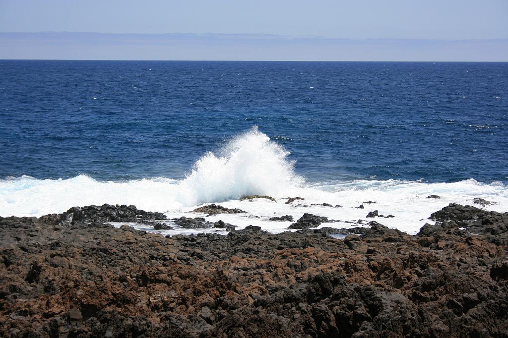 IMG_0898.jpg