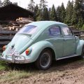 VW Kfer