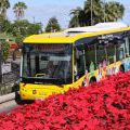 Autobus Gran Canaria in Las Palmas