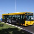 Autobus Gran Canaria in Las Palmas