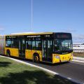 Gelenkbus Gran Canaria in Las Palmas