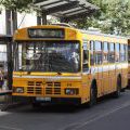 Autobusse auf Madeira