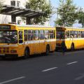 Autobusse auf Madeira