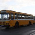 Autobusse auf Madeira