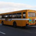 Autobusse auf Madeira