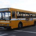 Autobusse auf Madeira