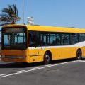 Autobusse auf Madeira