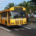 Autobusse auf Madeira