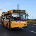 Autobusse auf Madeira