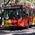 Autobus in Porto Christo auf Mallorca